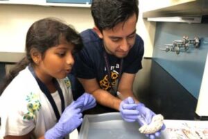 CNLM Ambassador Julian Quintanilla, a Ph.D. student in anatomy & neurobiology, guides a fourth-grader in UCI’s Brain Explorer Academy through a sheep brain dissection