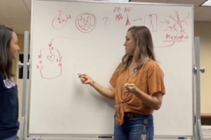Two women draw on a whiteboard with red marker