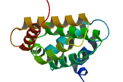 Image of the 3D structure of protein folding.