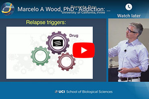 Addiction: How BioSci is Changing What’s Possible