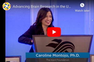 Advancing Brain Research in the US and Beyond