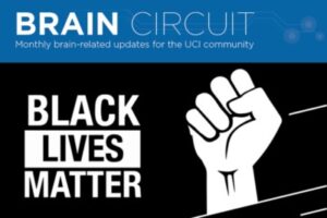 Brain Circuit - Black Lives Matter