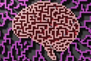 A 8 bit pixel image of a brain