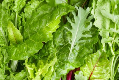 Close of image of the leaves in a salad
