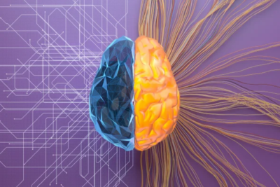 DIgital art of a brain. The left brain is blue with white lines streaming out of it. the right brain is yellow with red and yellow lines leaving.