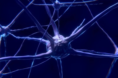 Digital art of a brain neuron