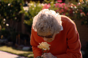 An elderly woman smells a white rose in her hand