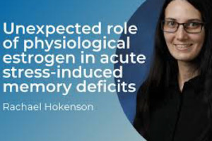 Unexpected role of physiological estrogen in acute stress-induced memory deficits, Rachael Holkenson