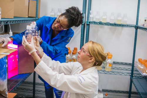 Candid photo of two female researchers in a laboratory setting