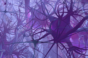 Cartoon illustration of neurons