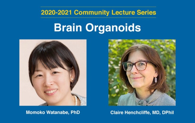 Banner of 2020-2021 Community Lecture Series Brain Organoids featuring guest speakers: Momoko Watanabe, PhD and Claire Henchcliffe, MD, DPhil