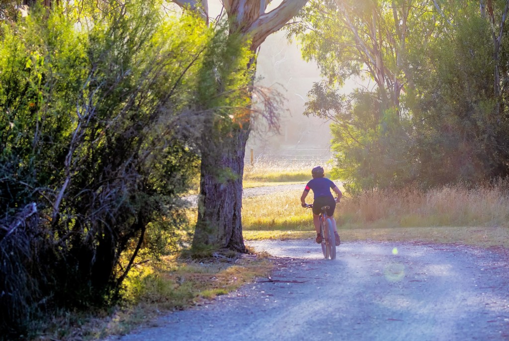 A person rides their bike on a cleared path in the forest