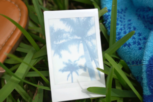 Polaroid image of palm trees on grass landscape.To Remember The Moment, Try Taking Fewer Photos