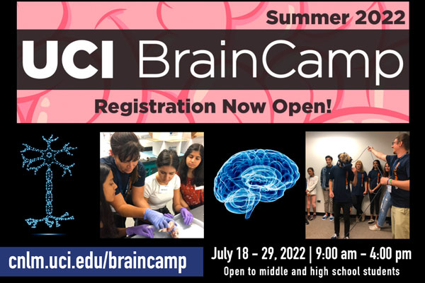 On top of a cartoon brain reads "summer 2022 UCI BrainCamp registration now open!". Below is a photo of a neuron, BrainCamp students dissecting a brain, another brain photo, and a kid doing VR