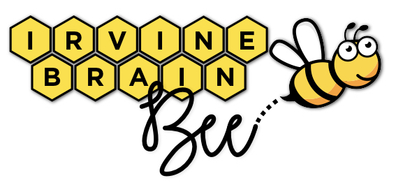 A white background with beehive art painted on it. "Irvine brain" is in honeycombs and "Bee" is spelt out by a cartoon bee.