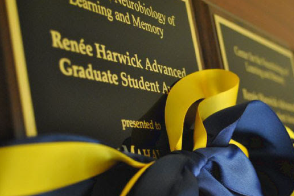 A Blue and Yellow bow lies on grad student awards