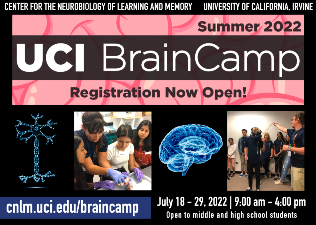 On top of a cartoon brain reads "summer 2022 UCI BrainCamp registration now open!". Below is a photo of a neuron, BrainCamp students dissecting a brain, another brain photo, and a kid doing VR