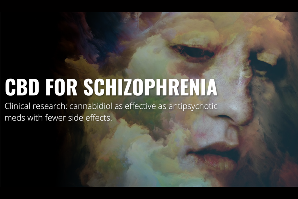 CBD for Schizophrenia: Clinical research: cannabidiol as effective as antipsychotic meds with fewer side effects.