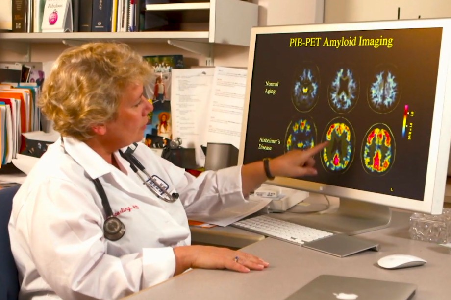 Researcher reviewing PET scan.