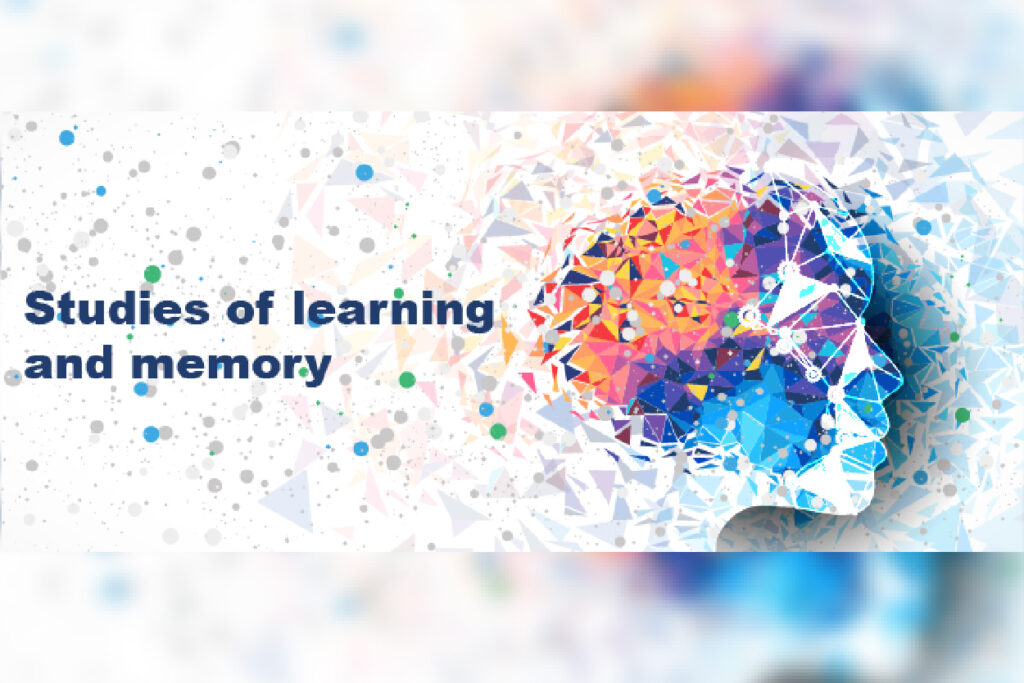 Studies of Learning and Memory - Image of abstract prism brain