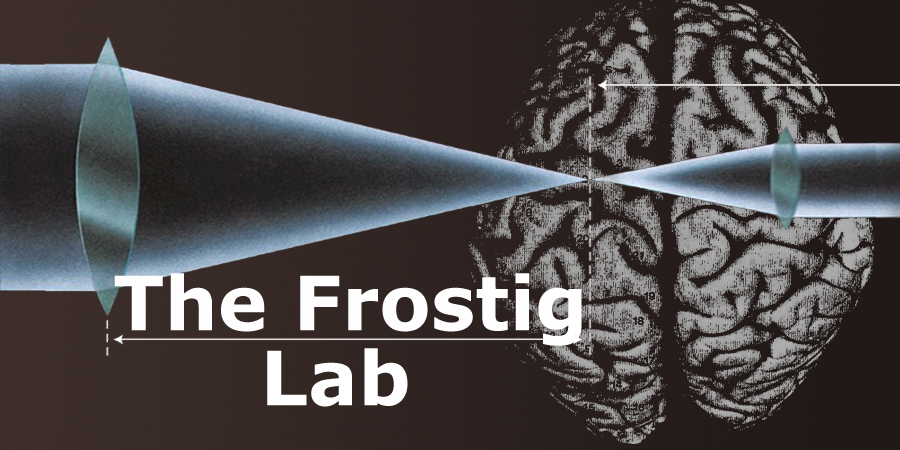 The Frostig Lab
