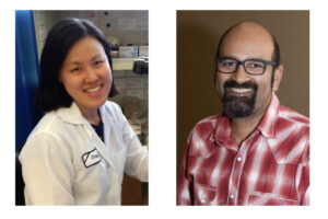 Headshots of UCI neurobiologists Sunil Gandhi and Carey Y.L. Huh