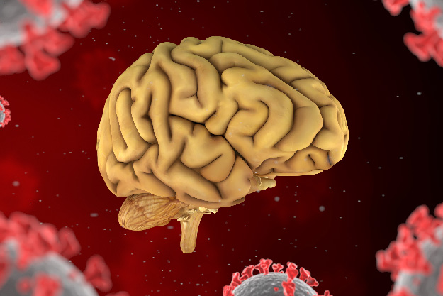 3D render of a brain surrounded by red and grey virus cells with a red background.