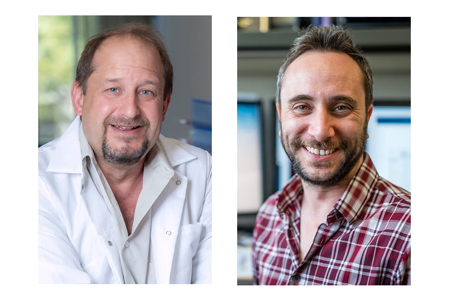 Tom Lane (left) and Kim Green (right) - UCI biologists to study COVID-19 link to Alzheimer’s