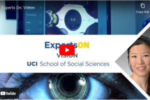 When most people hear the word “vision,” they think eyes. But UCI cognitive scientist and visual perception expert Cherlyn Ng says our sight would be terrible if we relied on the eyes alone. In this latest installment of the UCI Social Sciences Experts On series, Ng shares her research on the brain’s role in crafting what we see.